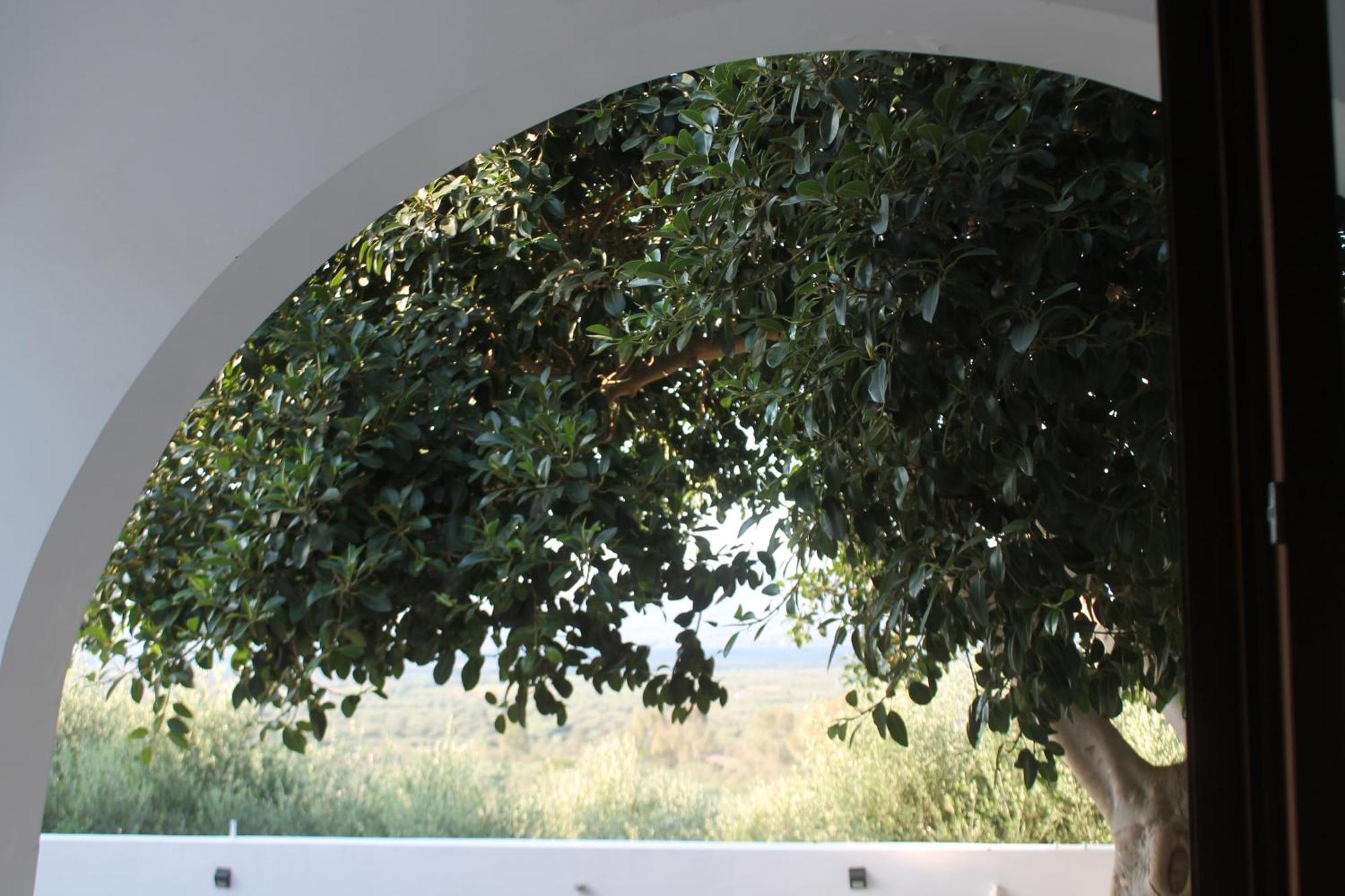 A Crystal Clear House In Pyrgos, Heraklion Crete Pirgos  المظهر الخارجي الصورة