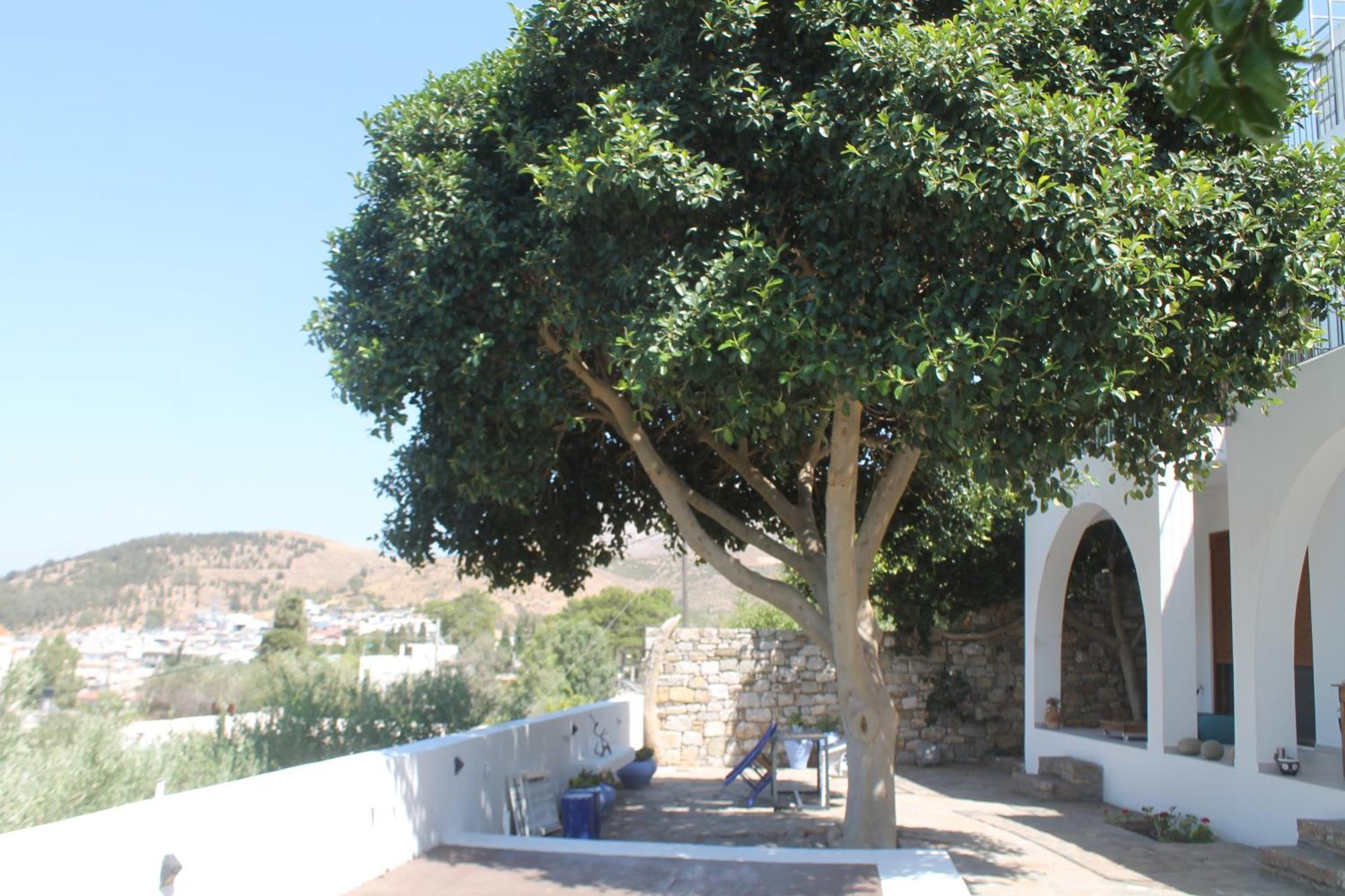 A Crystal Clear House In Pyrgos, Heraklion Crete Pirgos  المظهر الخارجي الصورة